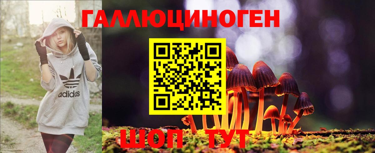 Ковров  Псилоцибиновые грибы Psilocybe  Псилоцибиновые грибы Psilocybe  цена наркотик  Вход с VPN 